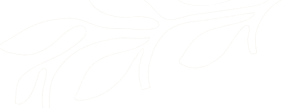 Decorative pattern